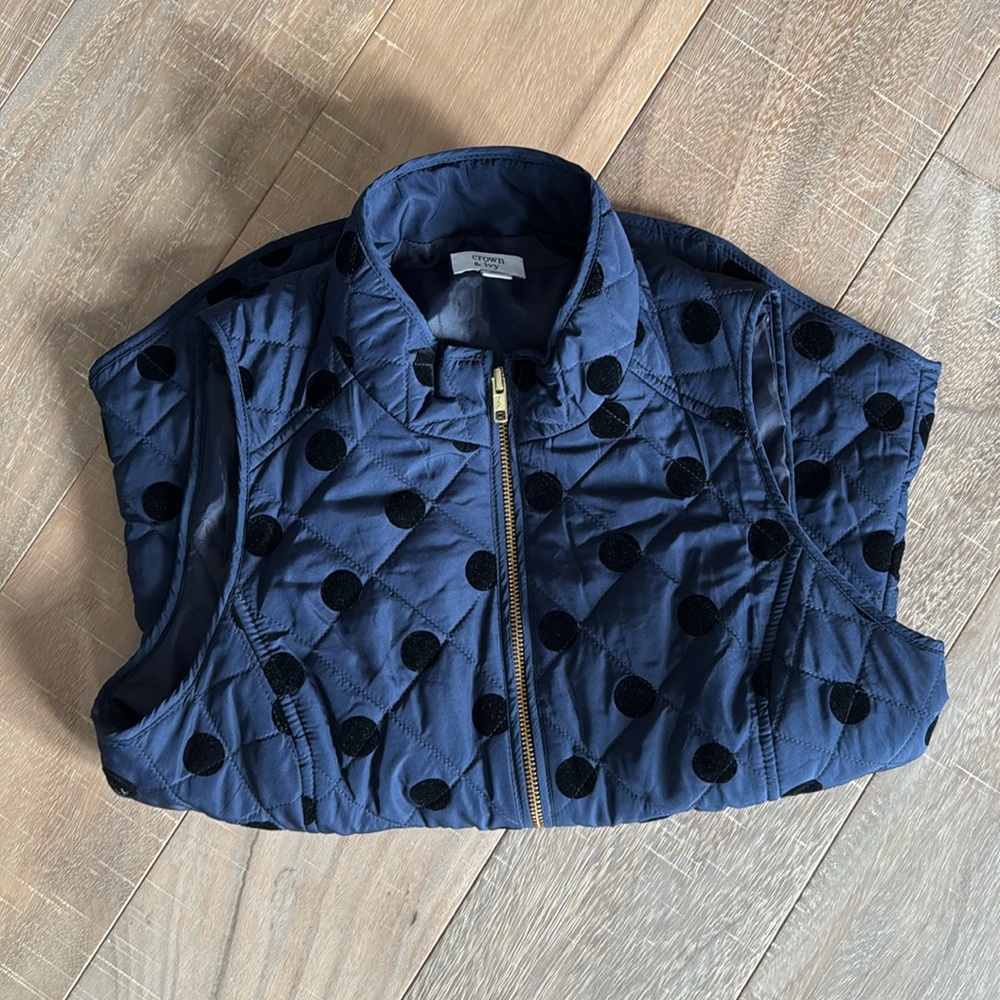 Crown and Ivy polkadot vest